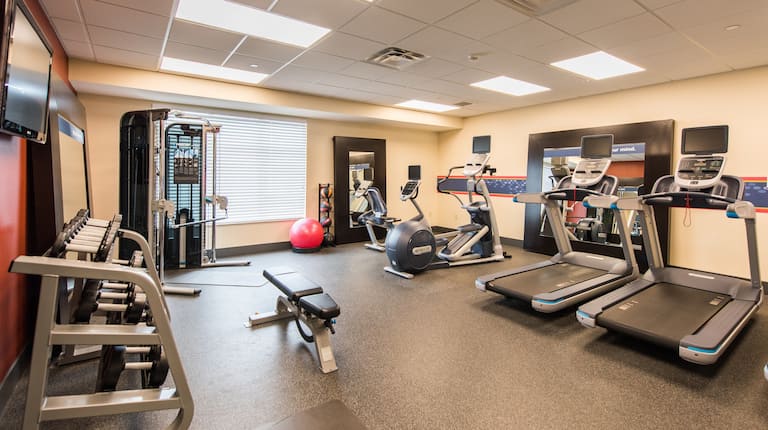 Fitness Center with Treadmills Recumbent Bike and Weights