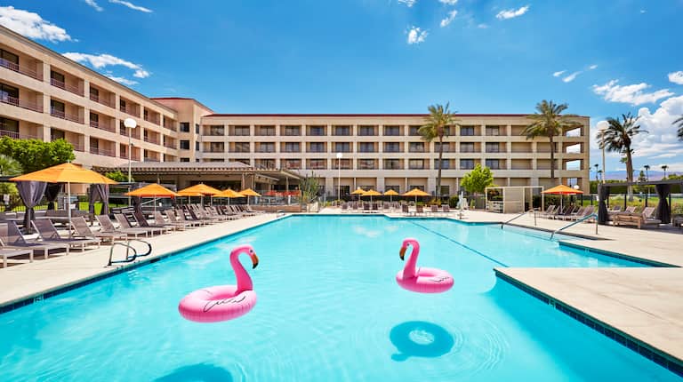 Outdoor Pool with Flamingo Pool Floats