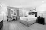 Bright room with comfortable queen bed
