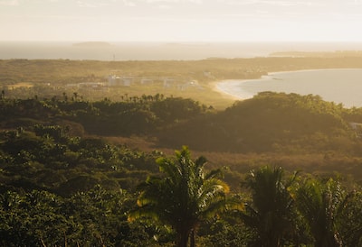 Lush green landscape and beach and ocean view