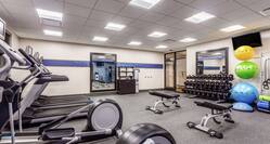Fitness Center with Treadmills, Cross-Trainers, Weight Benches and Dumbbell Rack