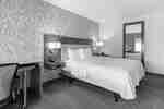 1 King Bed Studio Suite