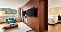 King Executive Suite Living Area and Bedroom