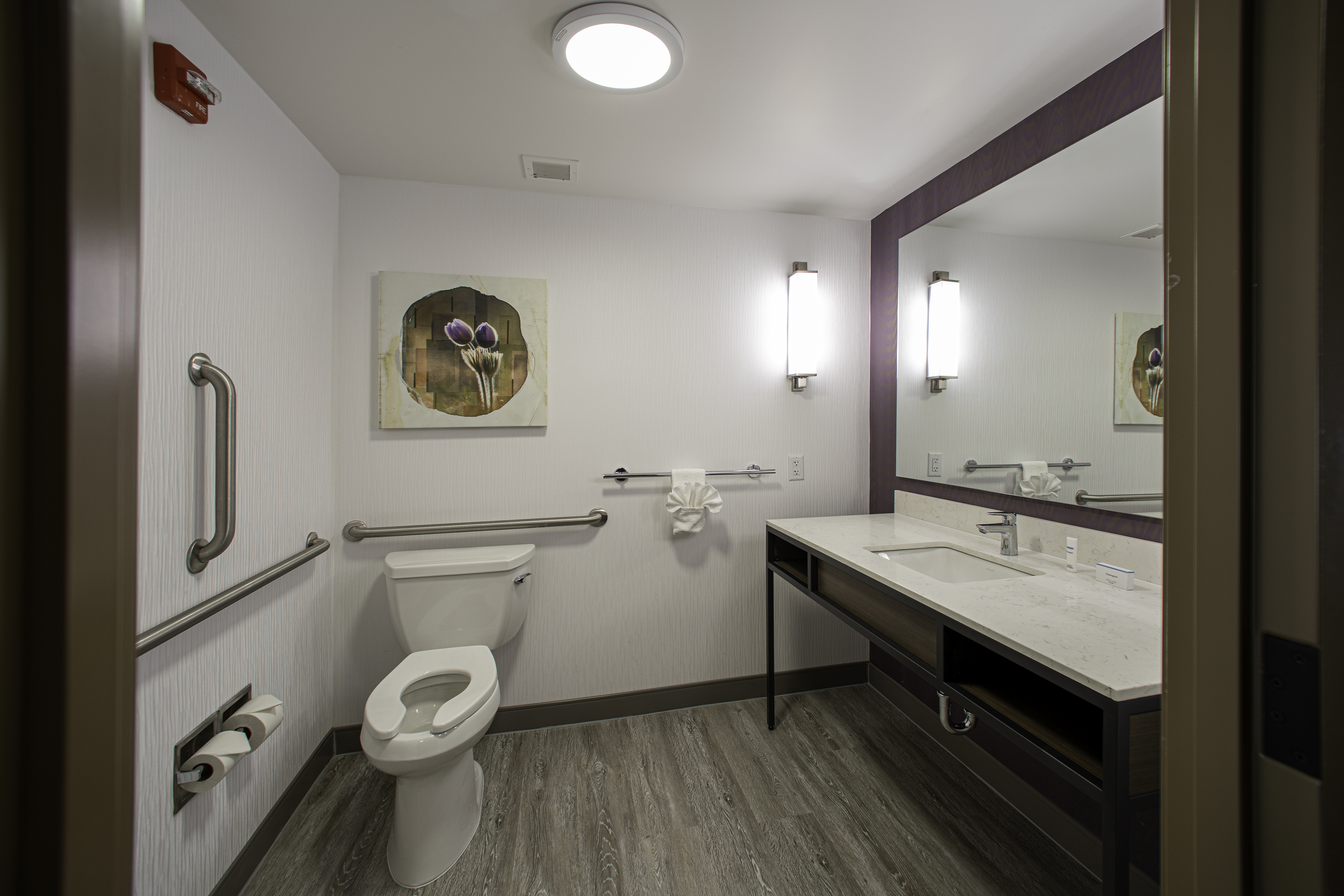 Suite Bathroom With Handicap Grab Bars