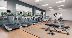 Fitness Center with Recumbent Bikes, Treadmills and Weights