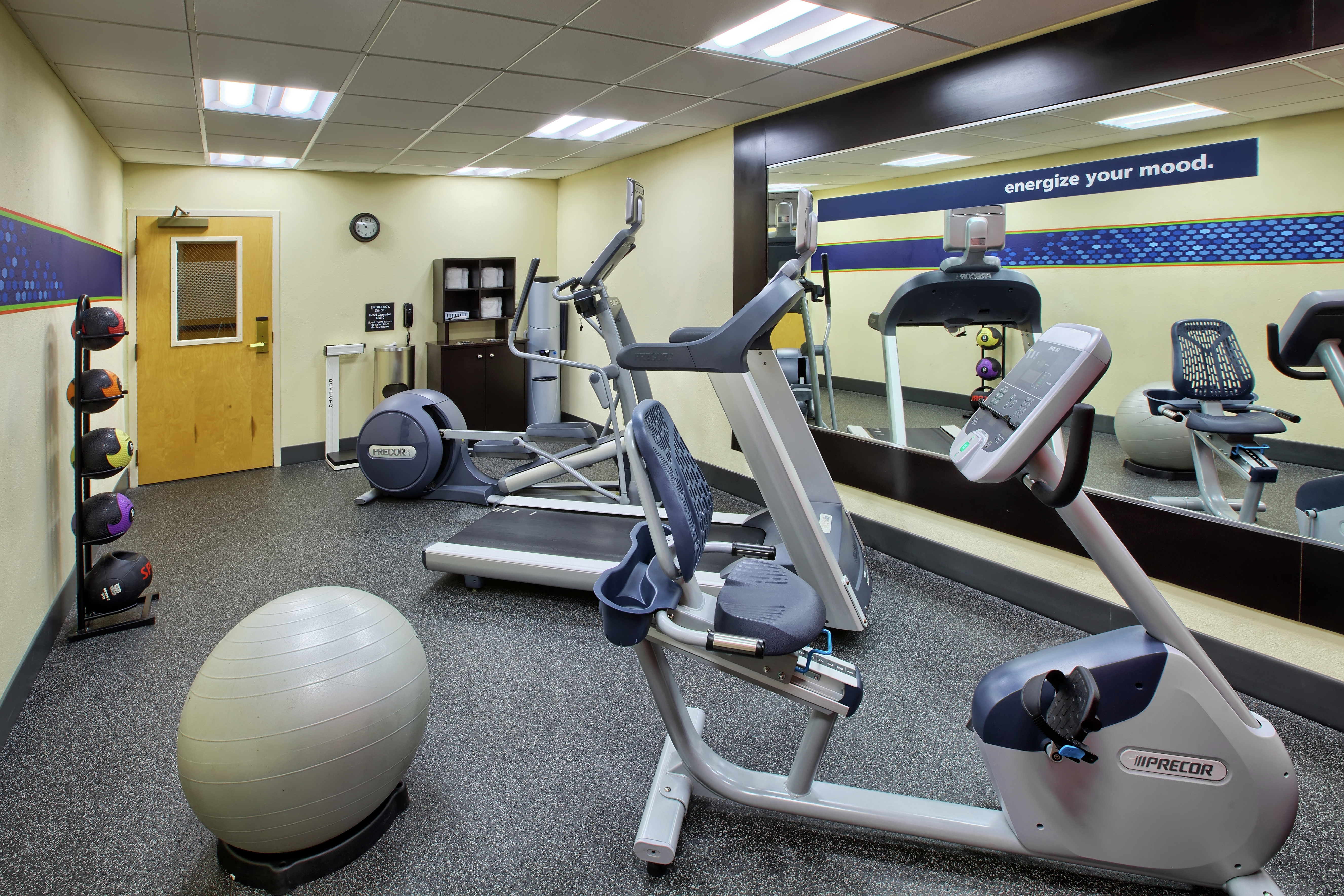Fitness Center with Cross-Trainer, Treadmill, Cycle Machine and Gym Ball