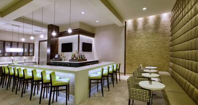 Bar and Lounge Area with Modern Furnishings 