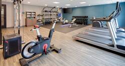 Treadmills Recumbent Bike and Weights in Fitness Center