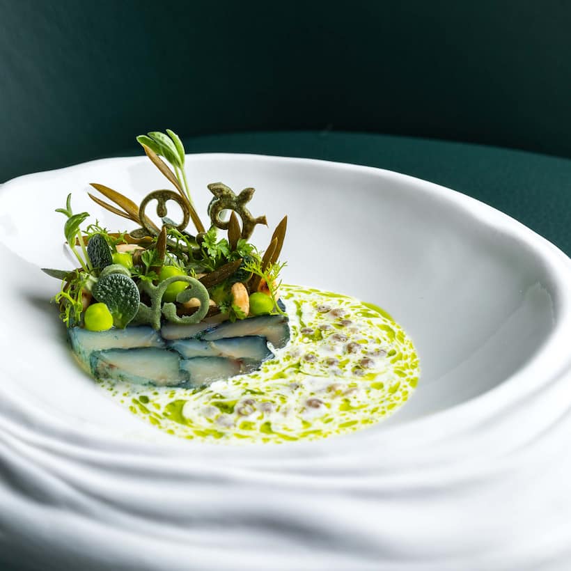 Close-up of meal in ornate bowl