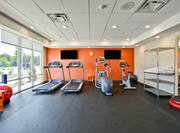 Fitness Center with Treadmills, Cross-Trainer, Cycle Machine and Two Wall Mounted HDTVs