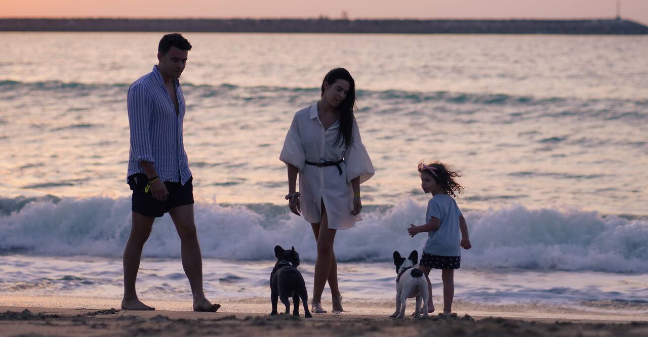 family walking on beach with dogs