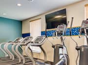 Fitness Center Treadmills and Cross-Trainers