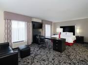 King Bed Hotel Suite