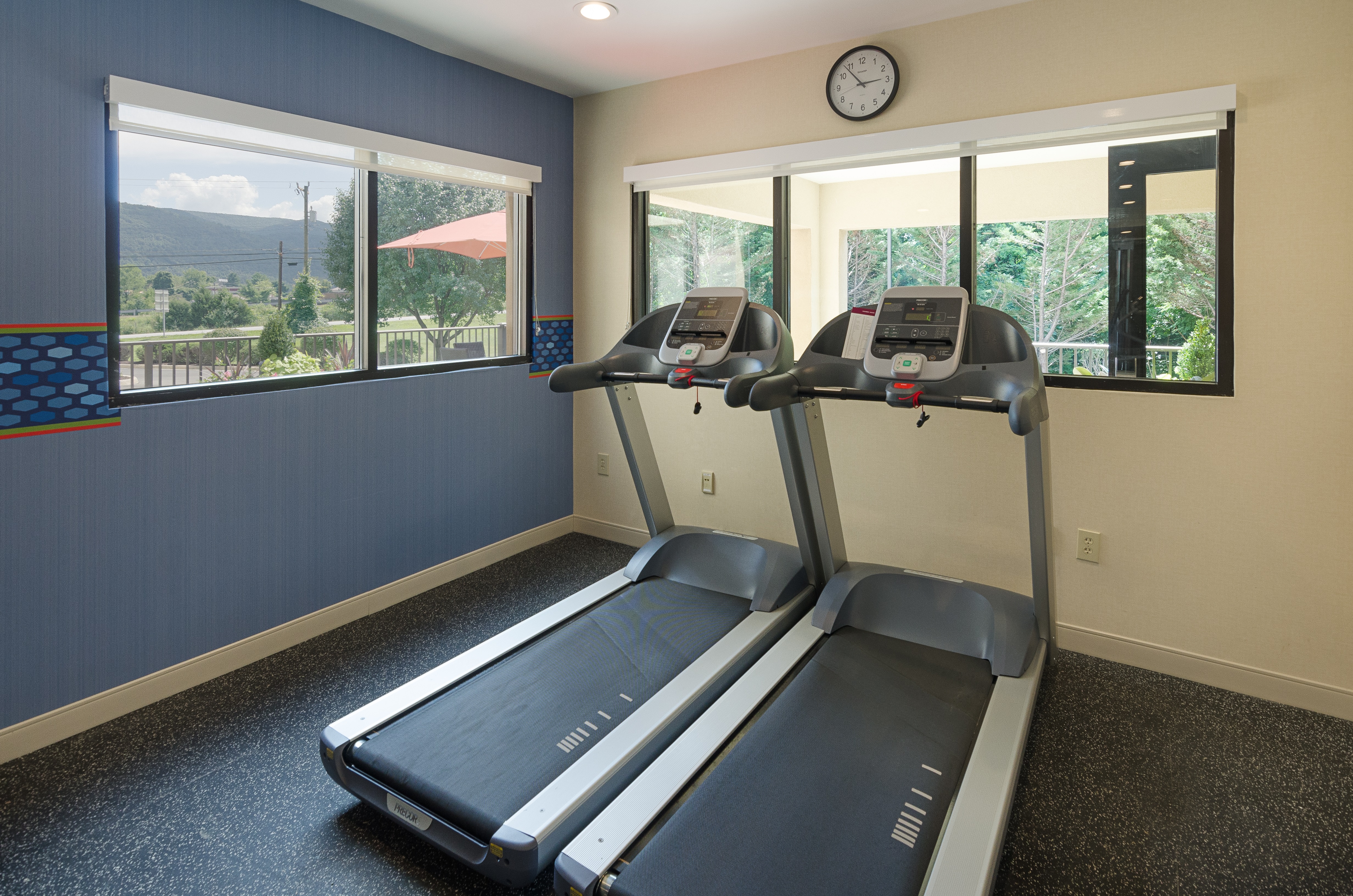 Fitness Center with Two Treadmills