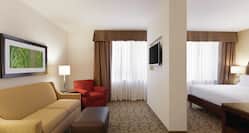 Junior Guest Suite with King Bed and Living Room with Sofa and Television