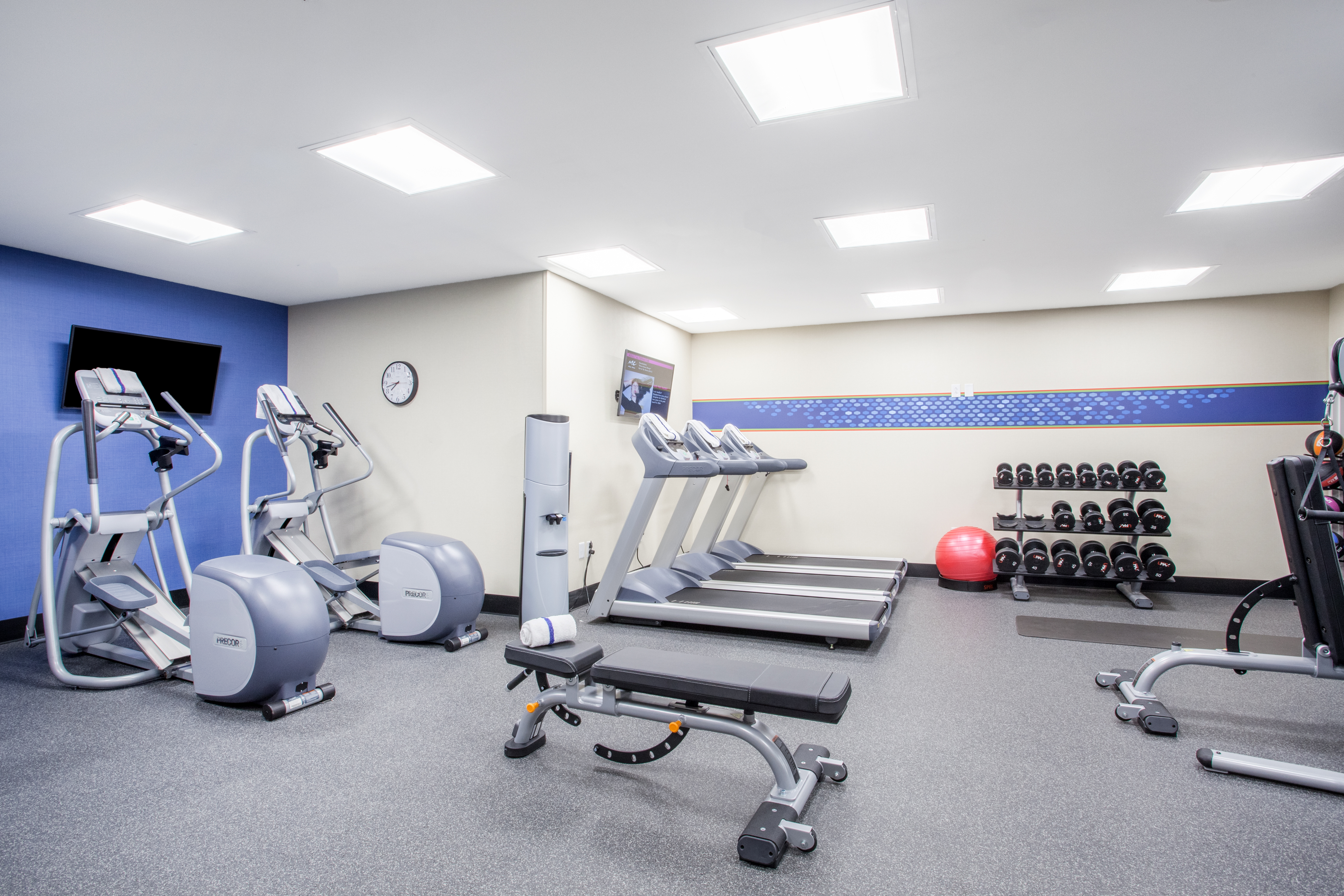 Fitness Center with Treadmills, Weight Bench, Cross-Trainers and Dumbbell Rack