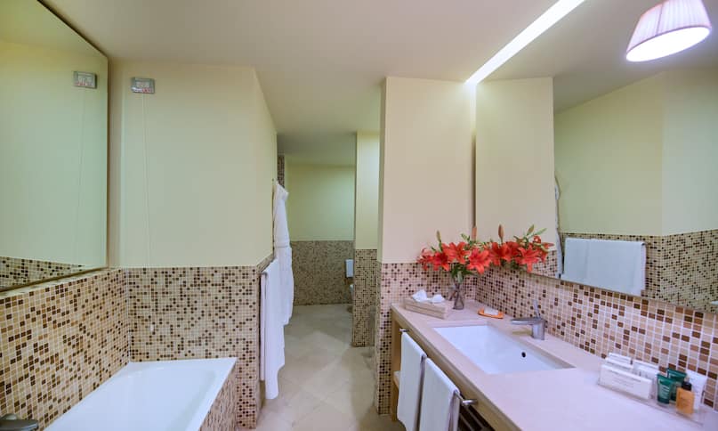 King Executive Suite Bathroom-previous-transition