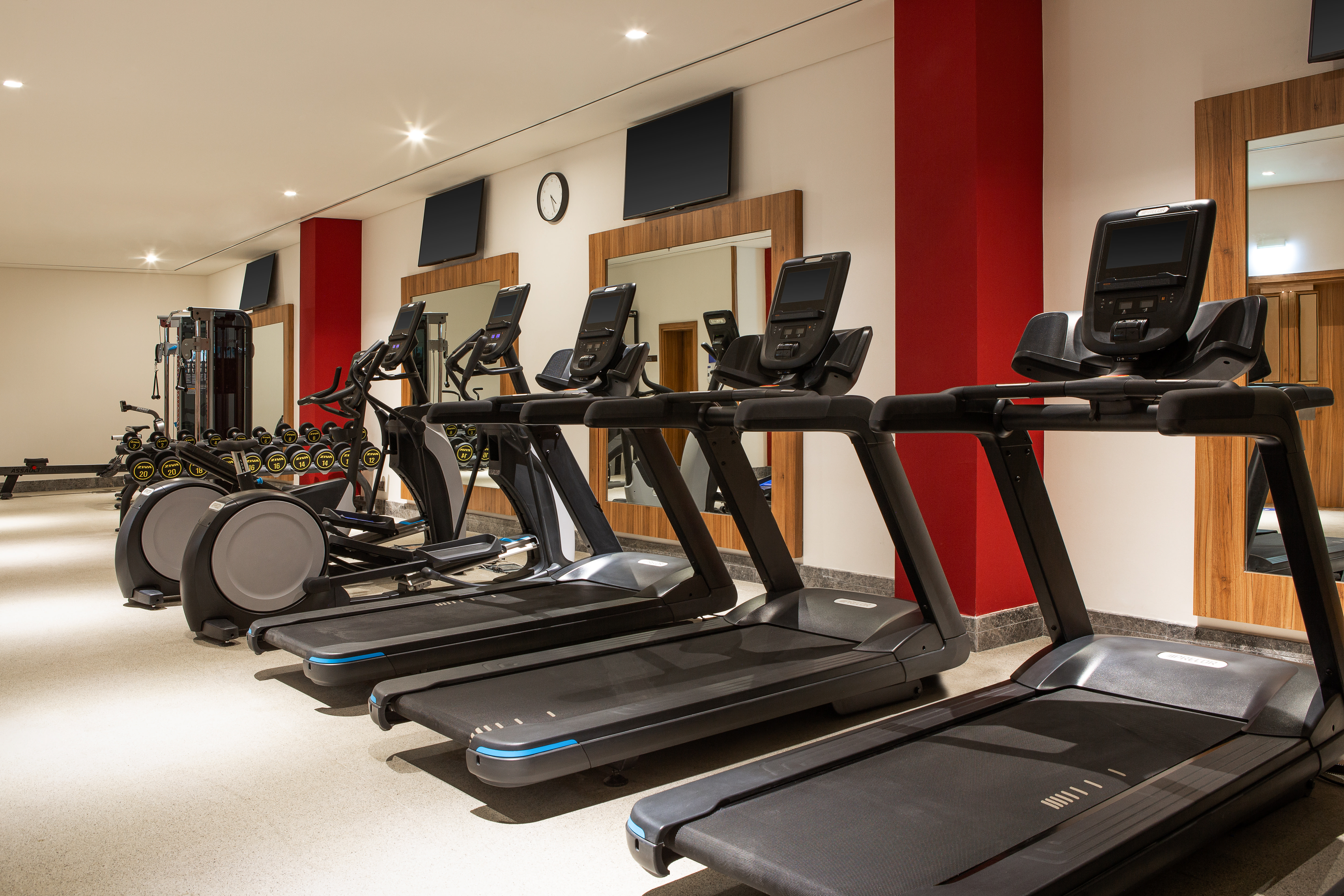 Gym treadmills and cross-country fitness equipment