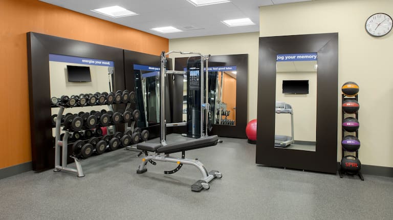 Fitness Center with Weight Bench and Dumbbell Rack