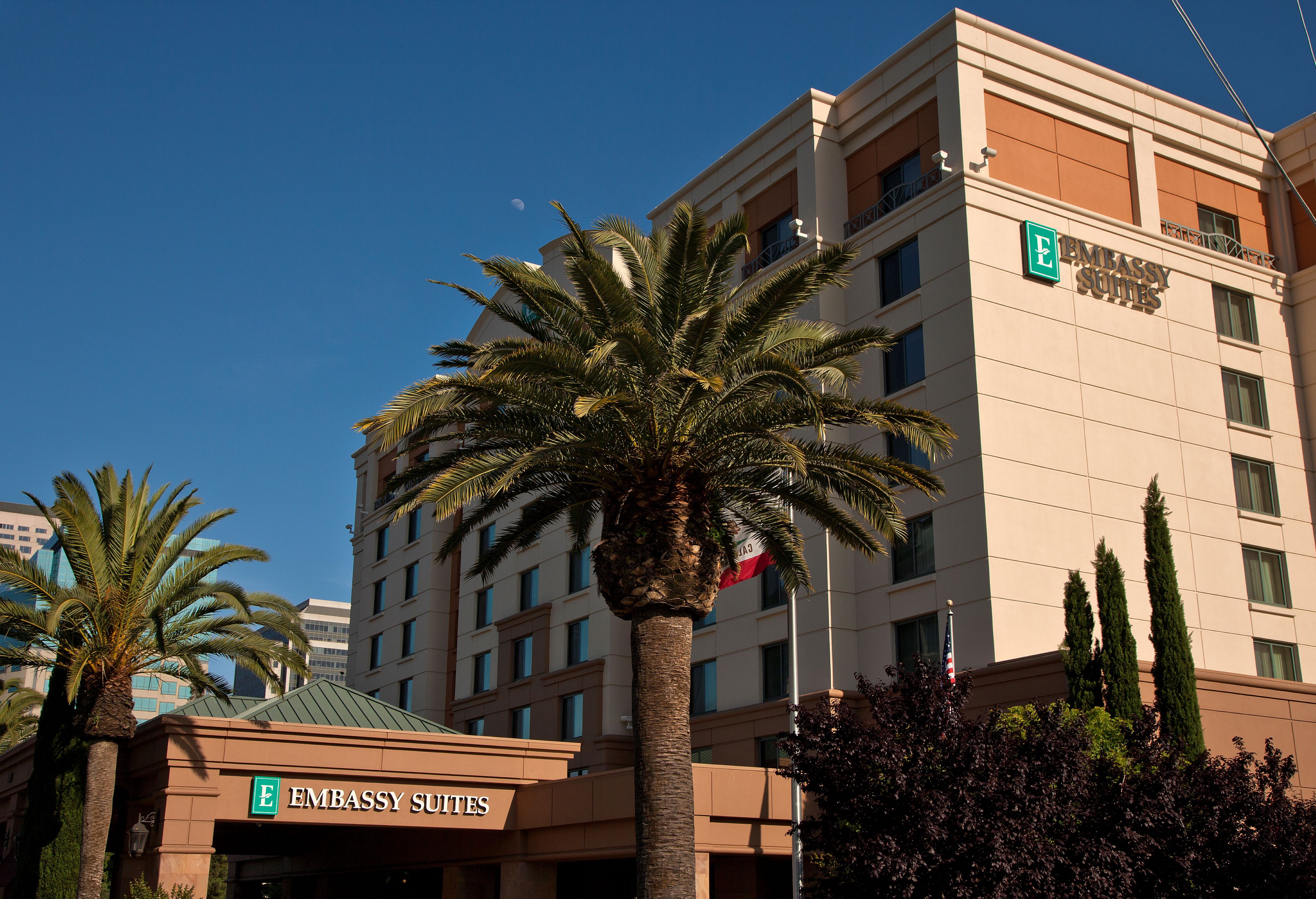 hotel exterior with palm tree