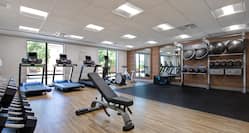 Fitness center with cardio machines and weights