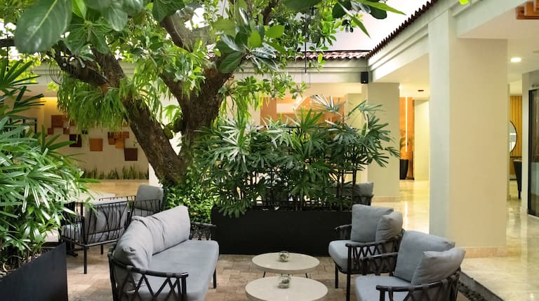 espace salon du hall