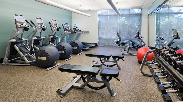 Fitness Center with Weight Benches, Cross-Trainers, Dumbbell Rack and Cycle Machine