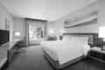 Suite dengan Tempat Tidur King