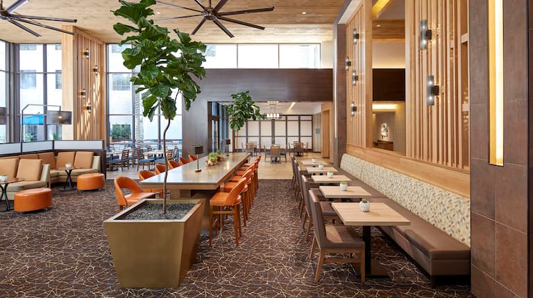 Various Dining Table Arrangements In Lobby with Ceiling Fans, Plants, and a View of Outside