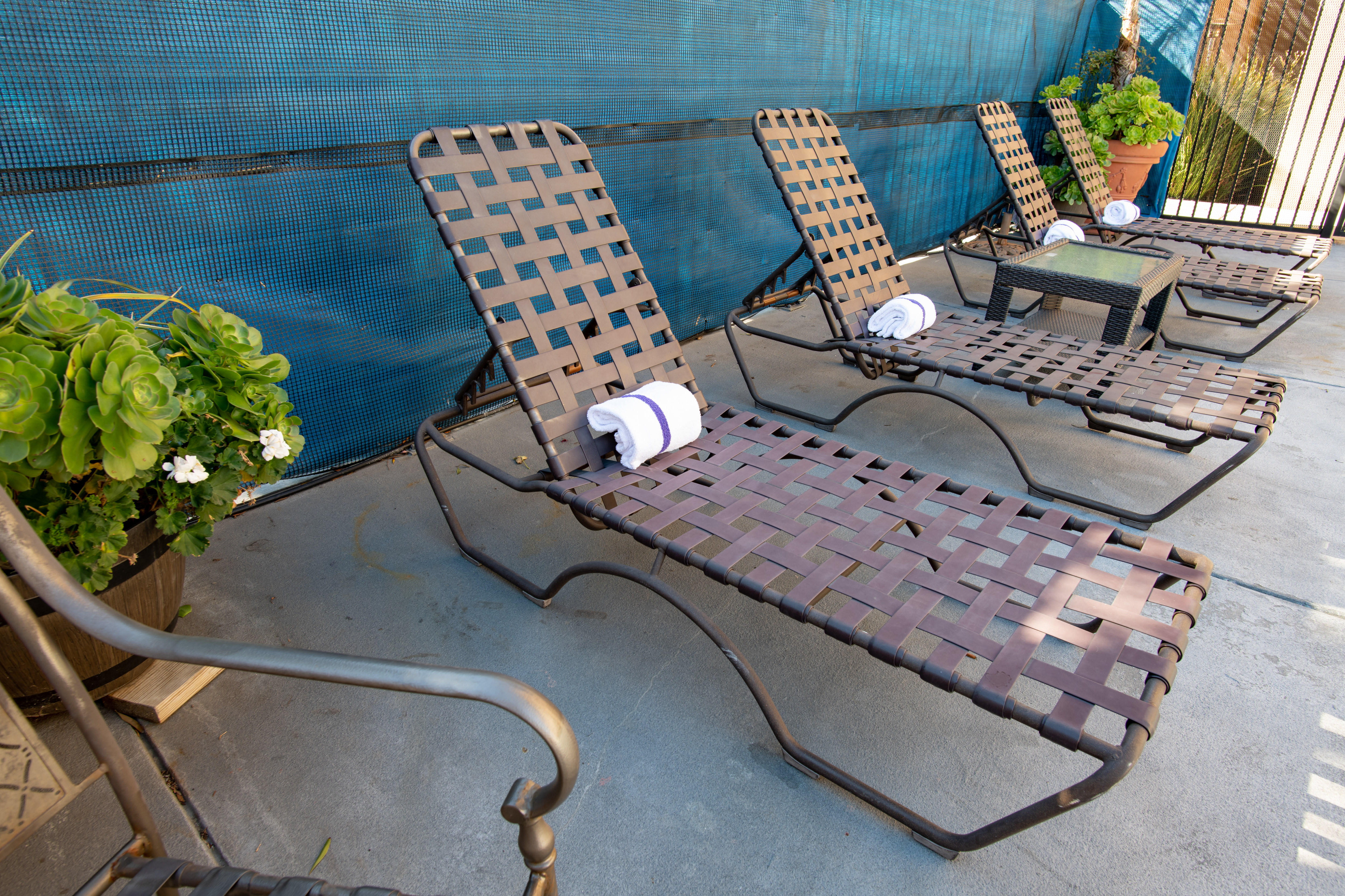 Lounge Chairs on Pool Deck