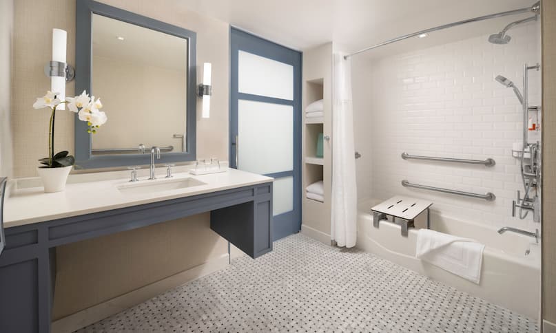 ADA Bathroom and Shower-previous-transition