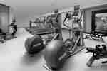 Fitness Center Cardio Equipment 