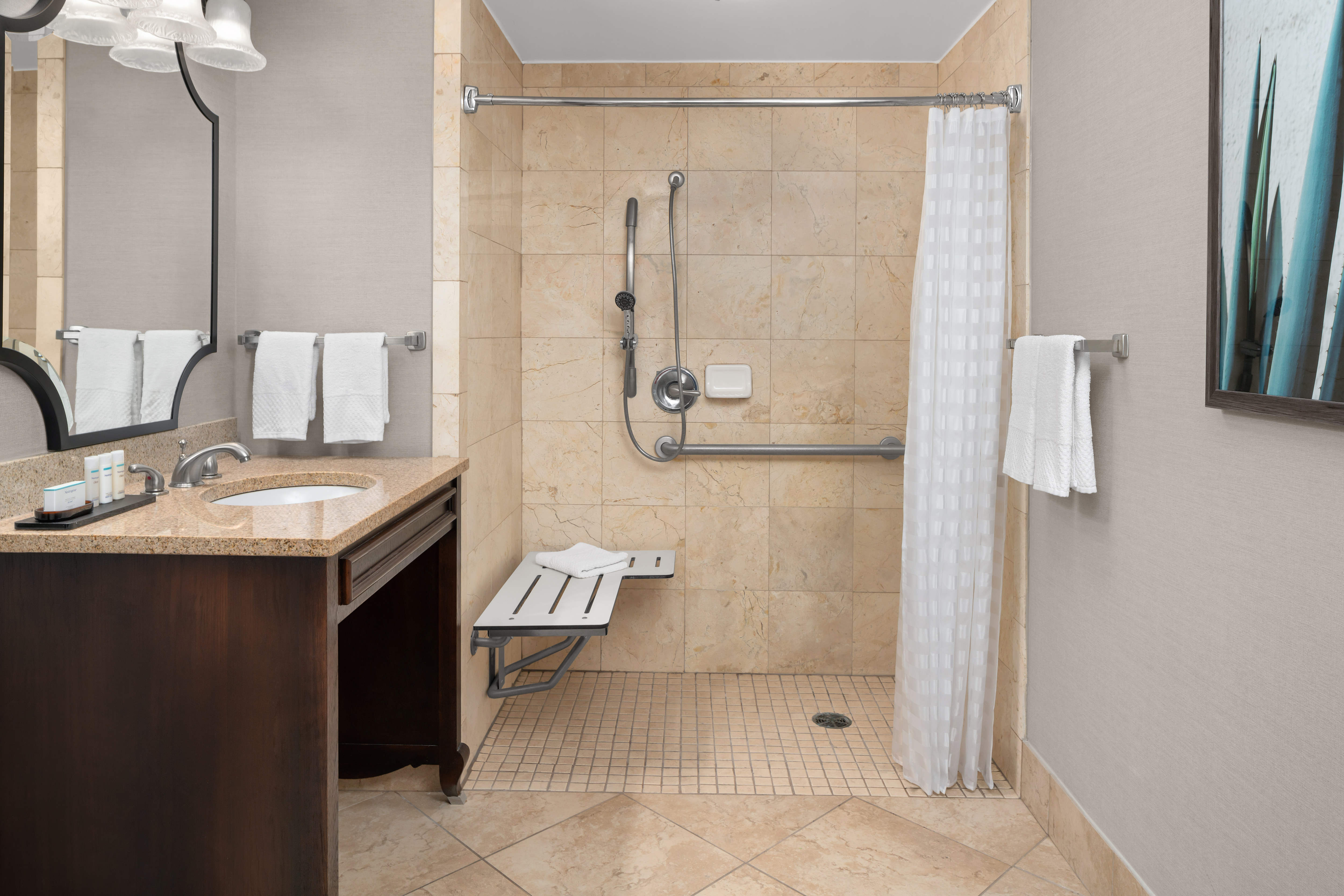 ADA shower and bathroom
