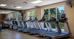 Fitness Center and Workout Equipment
