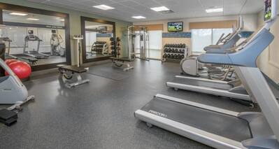 Fitness Center with Treadmills, Cross-Trainers, Weight Benches, Weight Machine and Dumbbell Rack