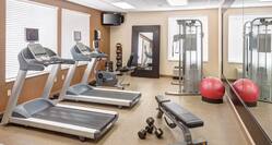 Fitness Center with Weights and Equipment