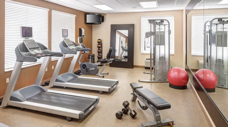 Fitness Center with Weights and Equipment