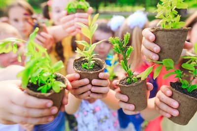 People holding plant pots