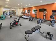 Fitness center with exercise machines and free weights