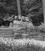 Statue of a panther in a garden