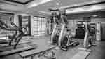 Fitness Center With Cardio Equipment, Large Mirror Between Two Windows, Weight Machine, Red Stability Ball, Towel Station, and Water Cooler