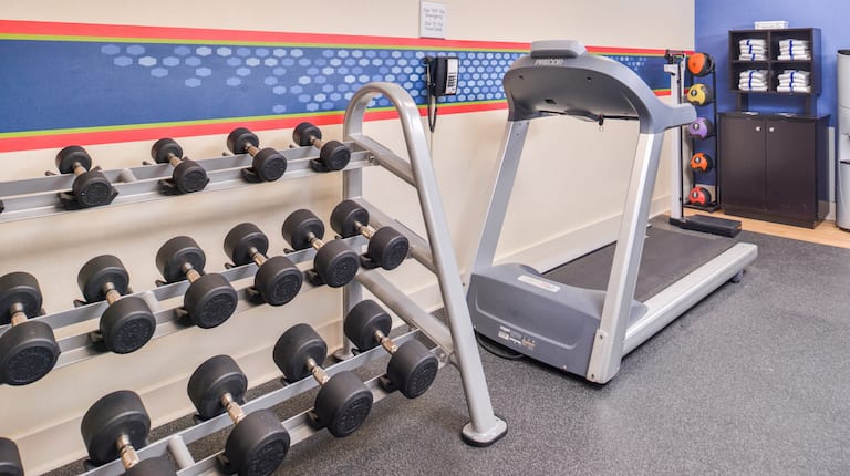 Fitness Center Free Weights Rack and Treadmill