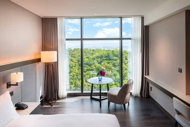 chambre avec vue sur le parc depuis la fenêtre