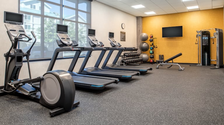 Treadmills and Weights in Fitness Center
