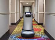 Relay the Robot in Guest Room Corridor Area