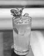 Delores park swizzle drink