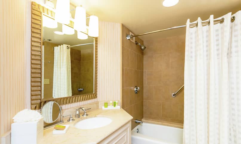 Accessible Guestroom Bathroom with Mirror, Vanity, Shower, and Bathtub