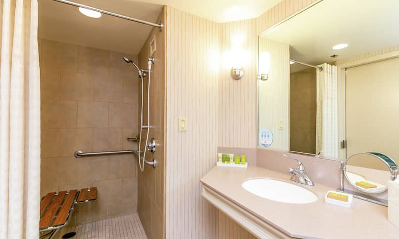 Accessible Guestroom Bathroom with Mirror, Vanity, and Roll-In Shower with Seat-previous-transition
