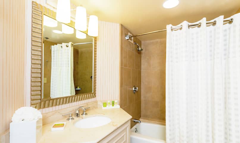 Accessible Guestroom Bathroom with Mirror, Vanity, Bathtub, and Shower-previous-transition