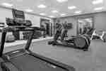 Spacious on-site fitness center fully equipped with cardio machines and free-weights.